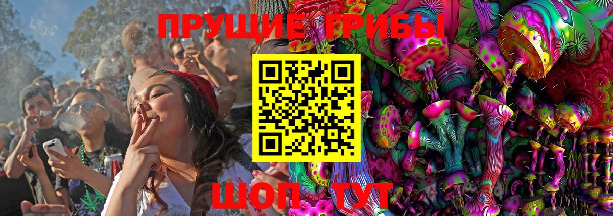Губкинский  Псилоцибиновые грибы Psilocybine cubensis  Вход с VPN 