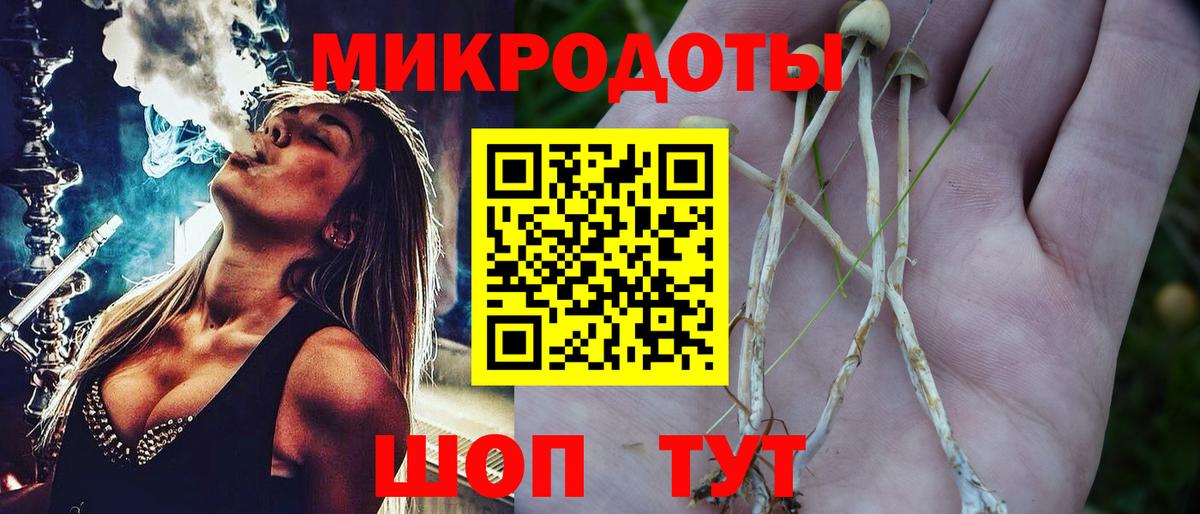 Псилоцибиновые грибы прущие грибы Губкинский