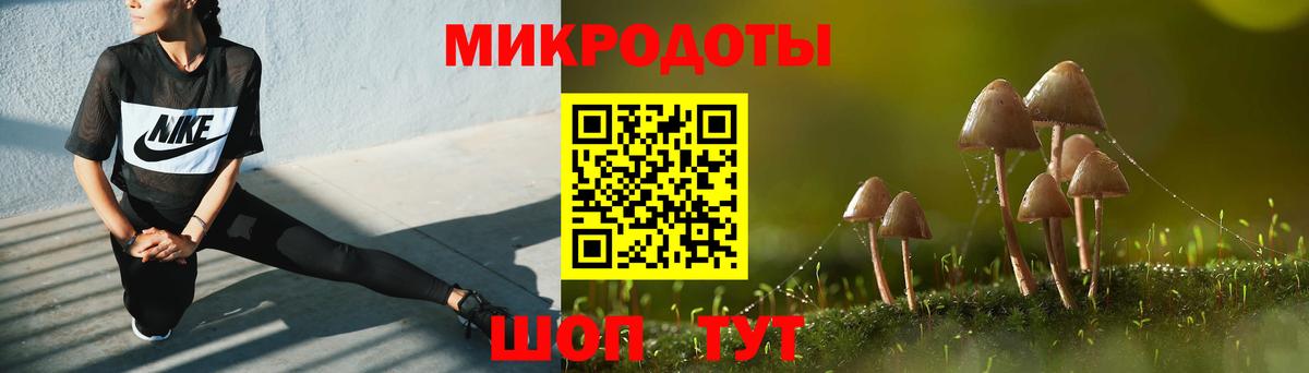  COCAIN Губкинский